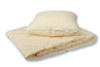 Подушка и одеяло АльВиТек В дорогу холфит
